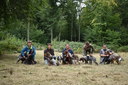 De gauche à droite, Némo des Falaises de l'Ailly (Janis X Ecco), O'nimrod des 
       Falaises de l'Ailly (Gina X Gulli), Ouate des Falaises de l'Ailly (Gina X Gulli) et Newheaven des Falaises de l'Ailly (Jazz X Végas) 
 , Otter-ly des Falaises de l'Ailly (Gina X Gulli) et Nimoy des Falaises de l'Ailly (Jazz X Végas.