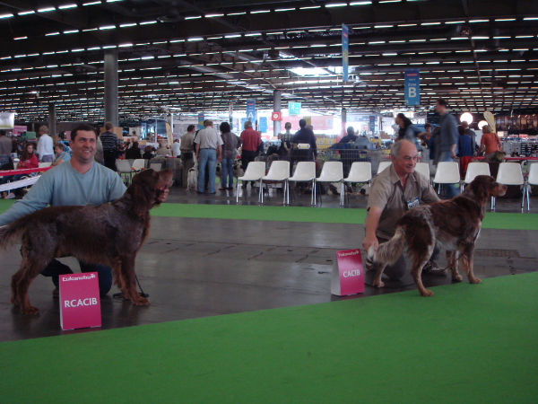 Paris world dog show 2012