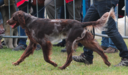 Scotty à l'expo d'Evreux